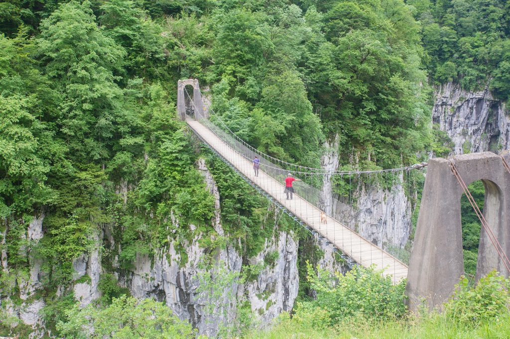 PUENTE COLGANTE DE HOLTZARTE SELVA DE IRATI